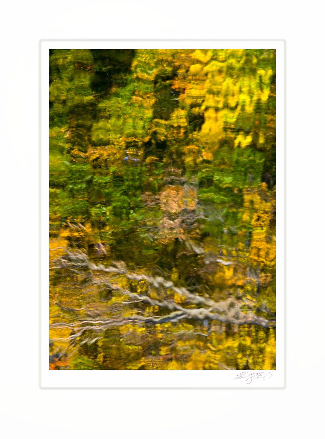 The rippled reflection of autumn foliage in gold, green, and rust across still water.