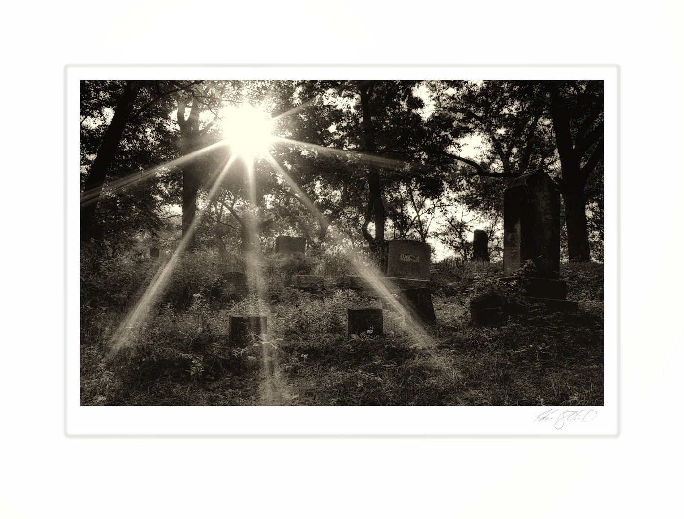 A sepia-toned cemetery with sunlight streaming through the trees at sunrise.