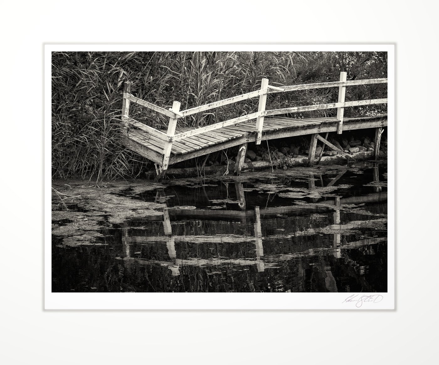 Broken dock post