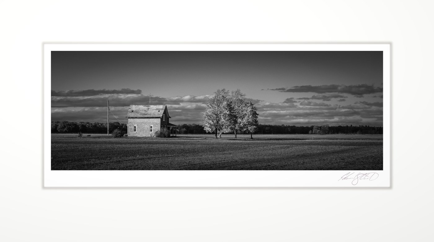 Farmhouse and trees at evening