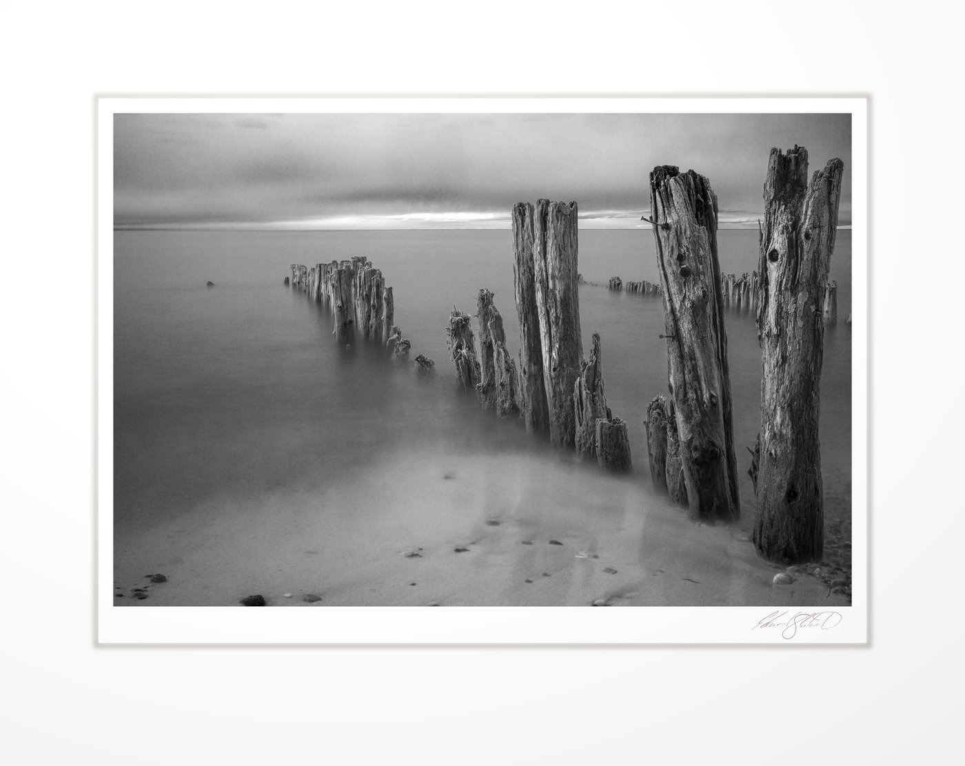 Weathered wooden pylons in foggy water