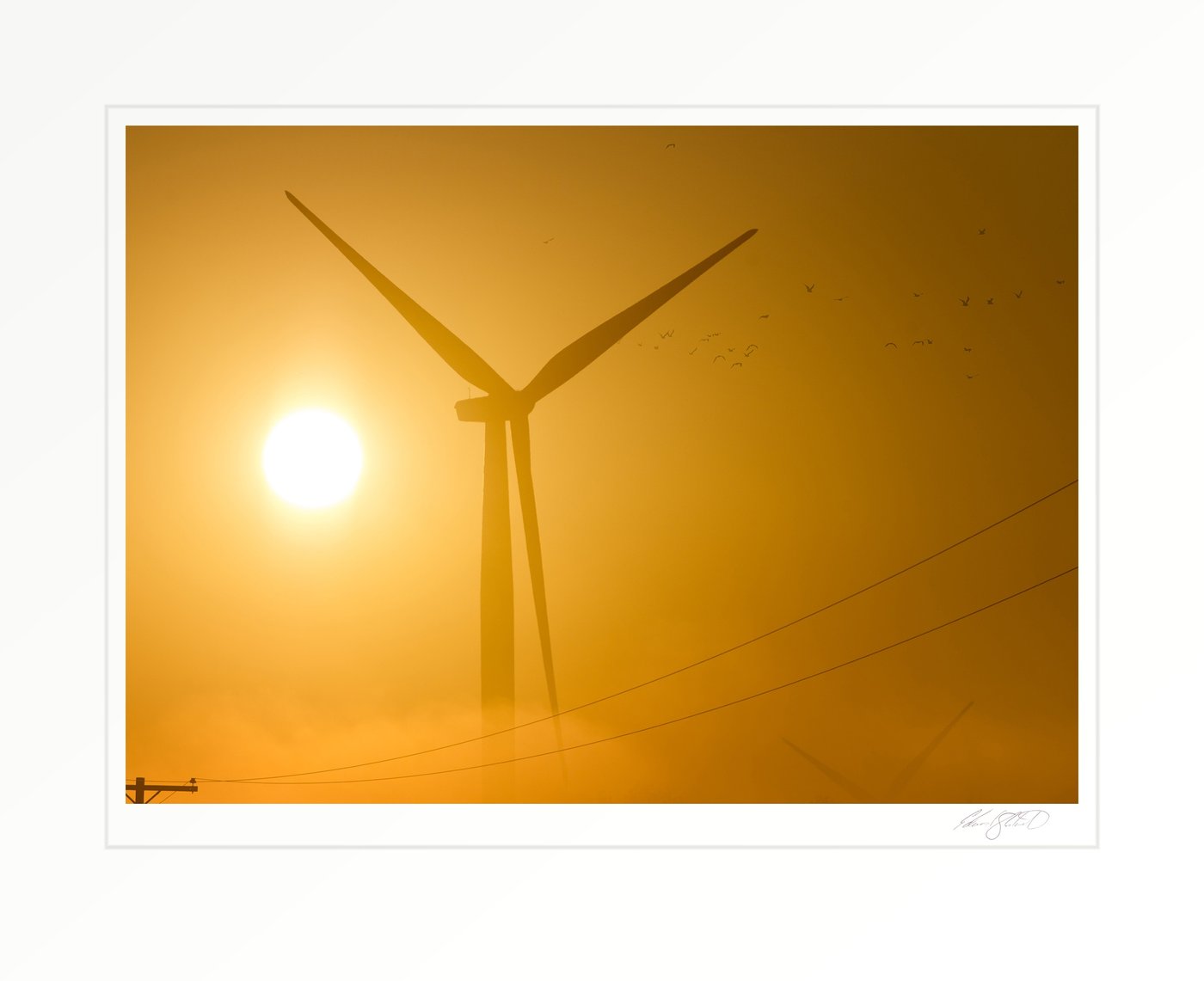 A wind turbine silhouetted against a golden hazy sun with birds flying past