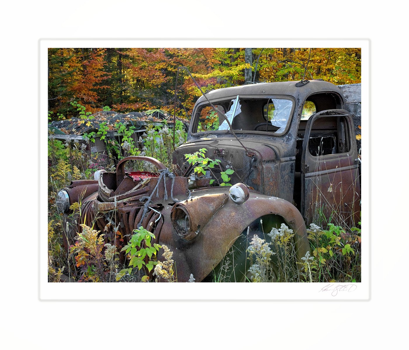 An abandoned rusty truck surrounded by autumn foliage