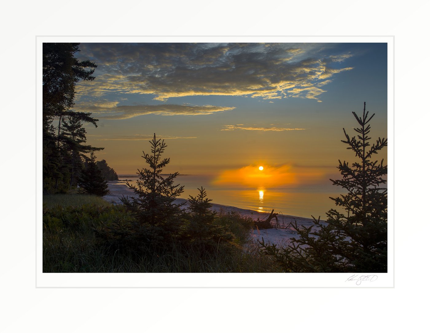 Sunrise over the Lake Michigan shoreline framed by pine trees, with the sun's reflection on calm water