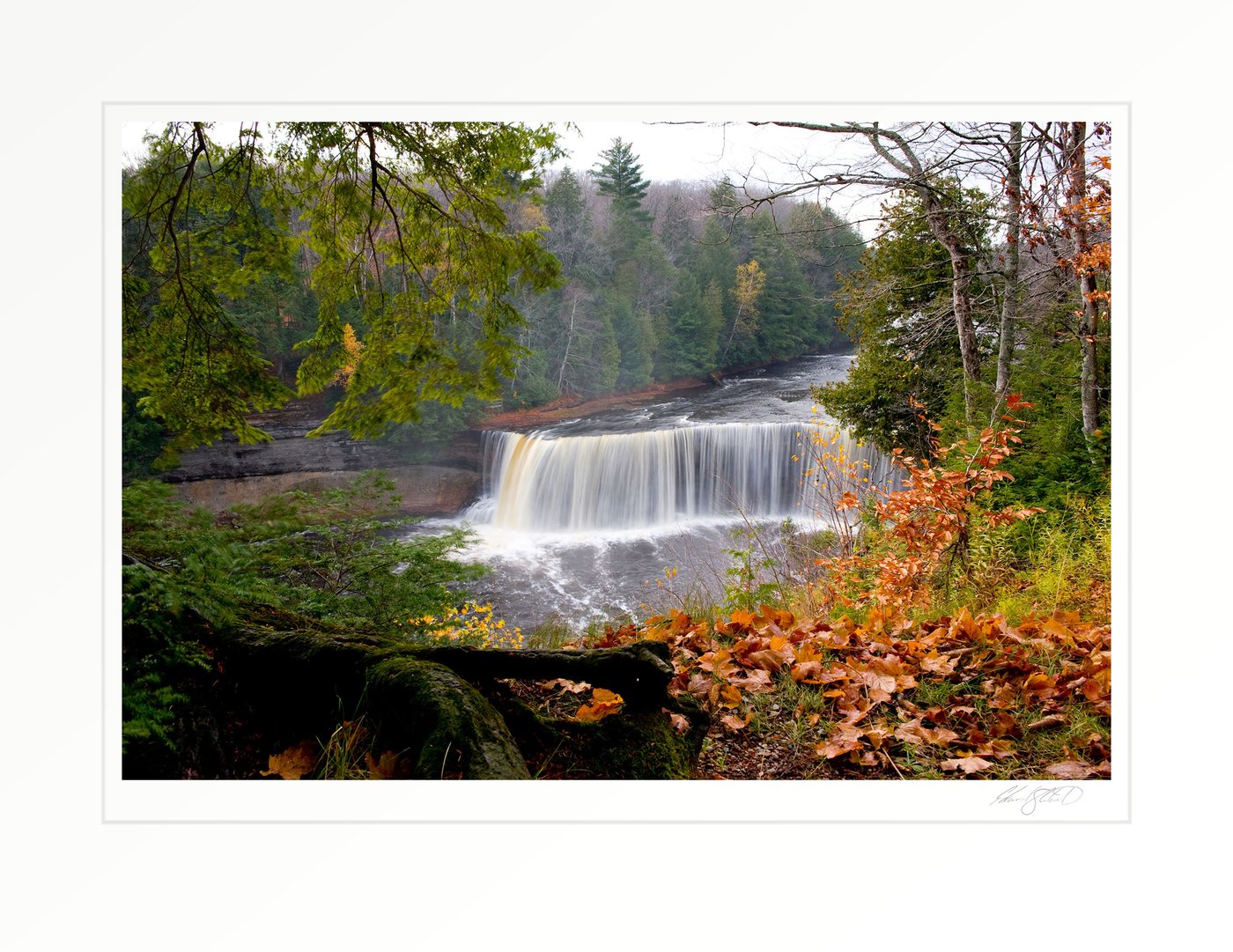 Tahquamenon Falls in full flow, framed by autumn foliage