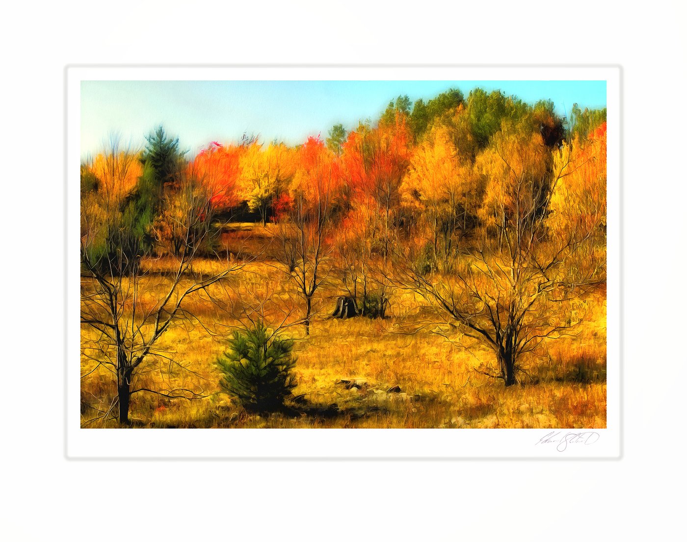 A painterly view of a hillside in full autumn color
