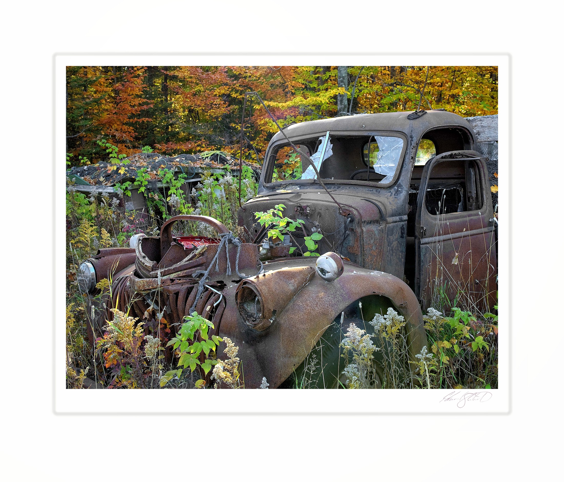 An abandoned rusty truck surrounded by autumn foliage