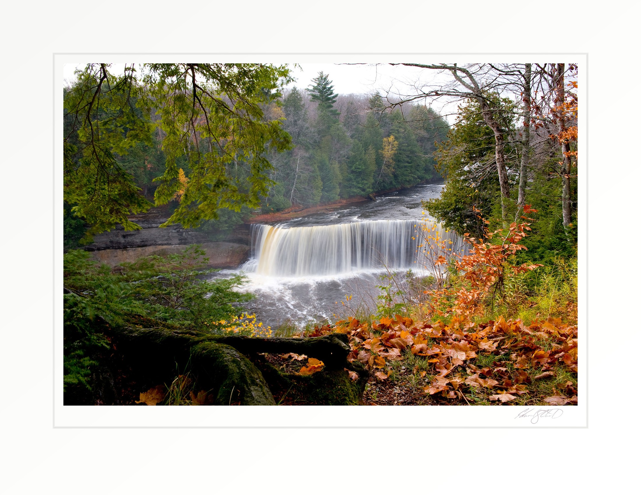 Tahquamenon Falls in full flow, framed by autumn foliage