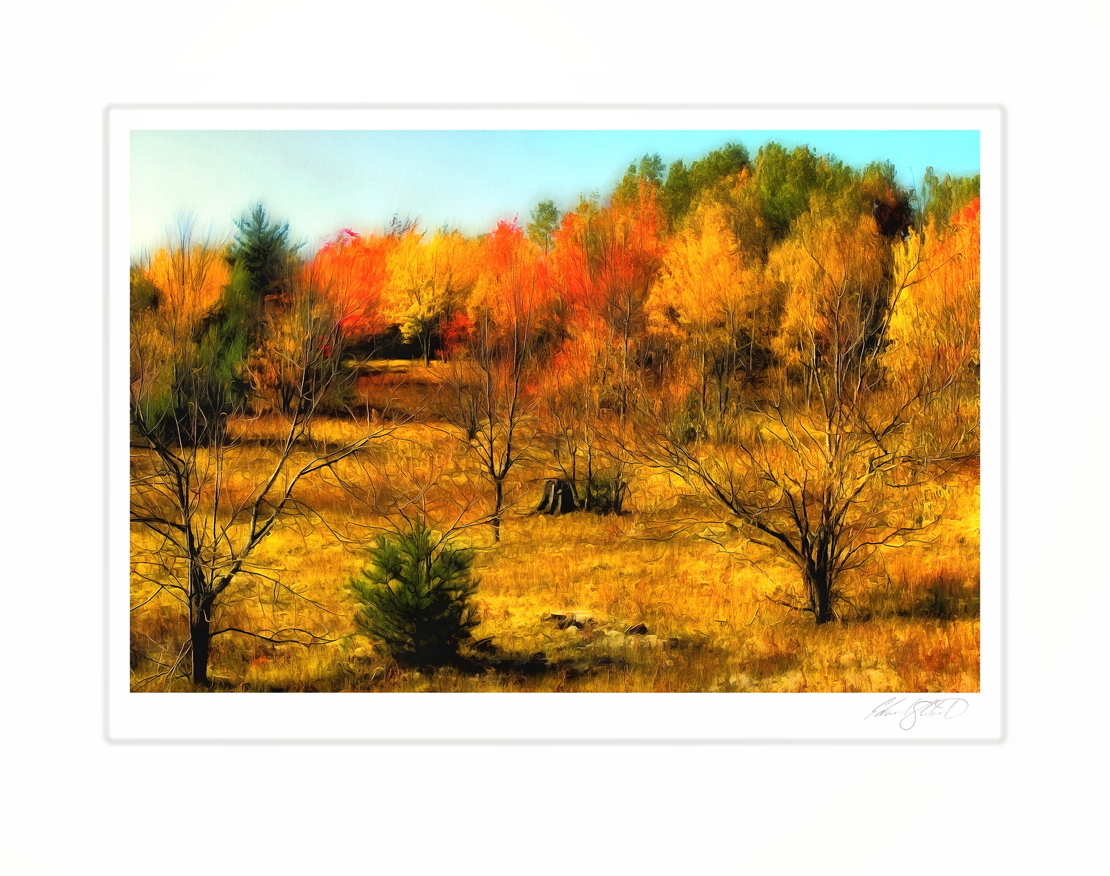 A painterly view of a hillside in full autumn color