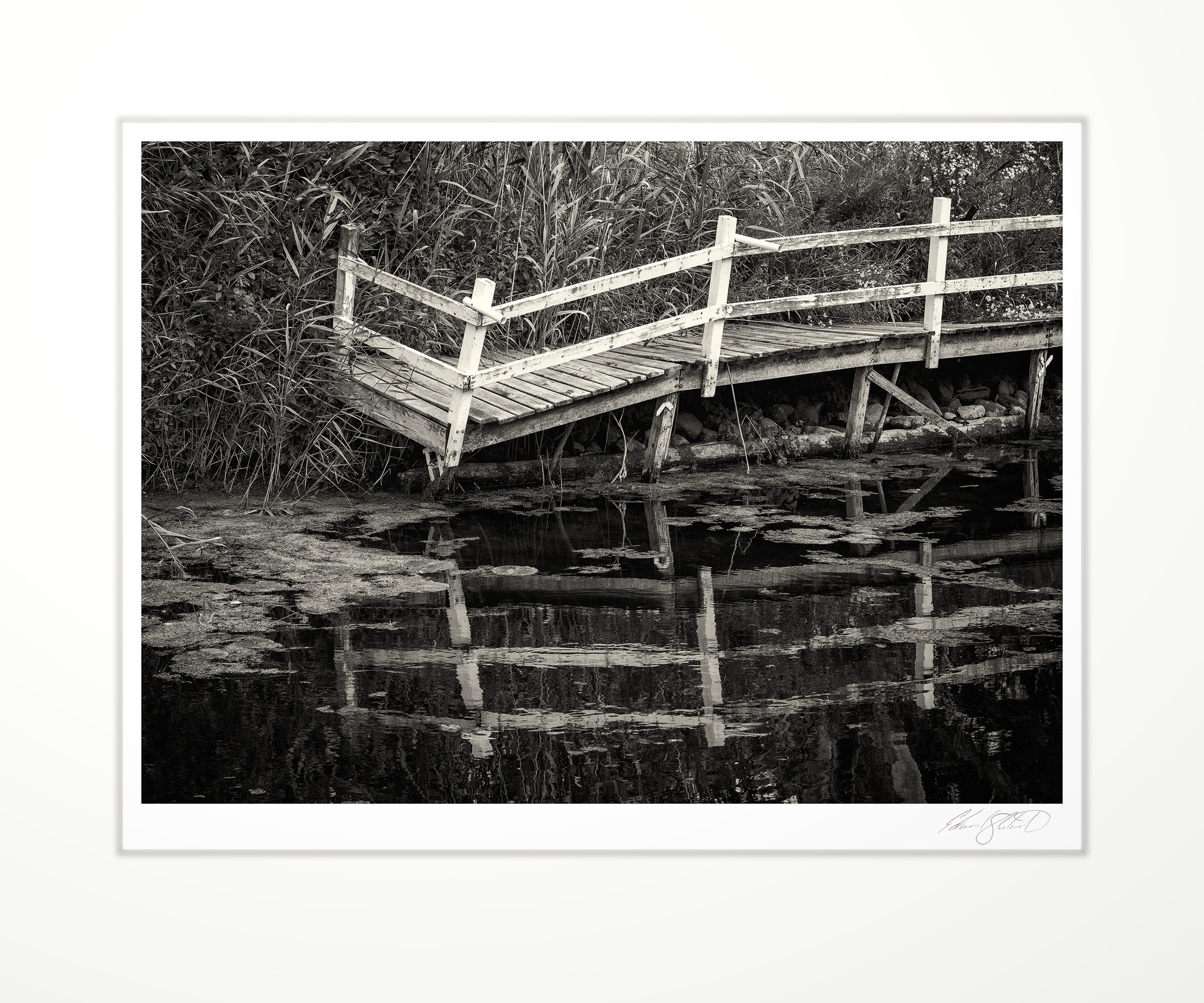 A broken dock post standing alone