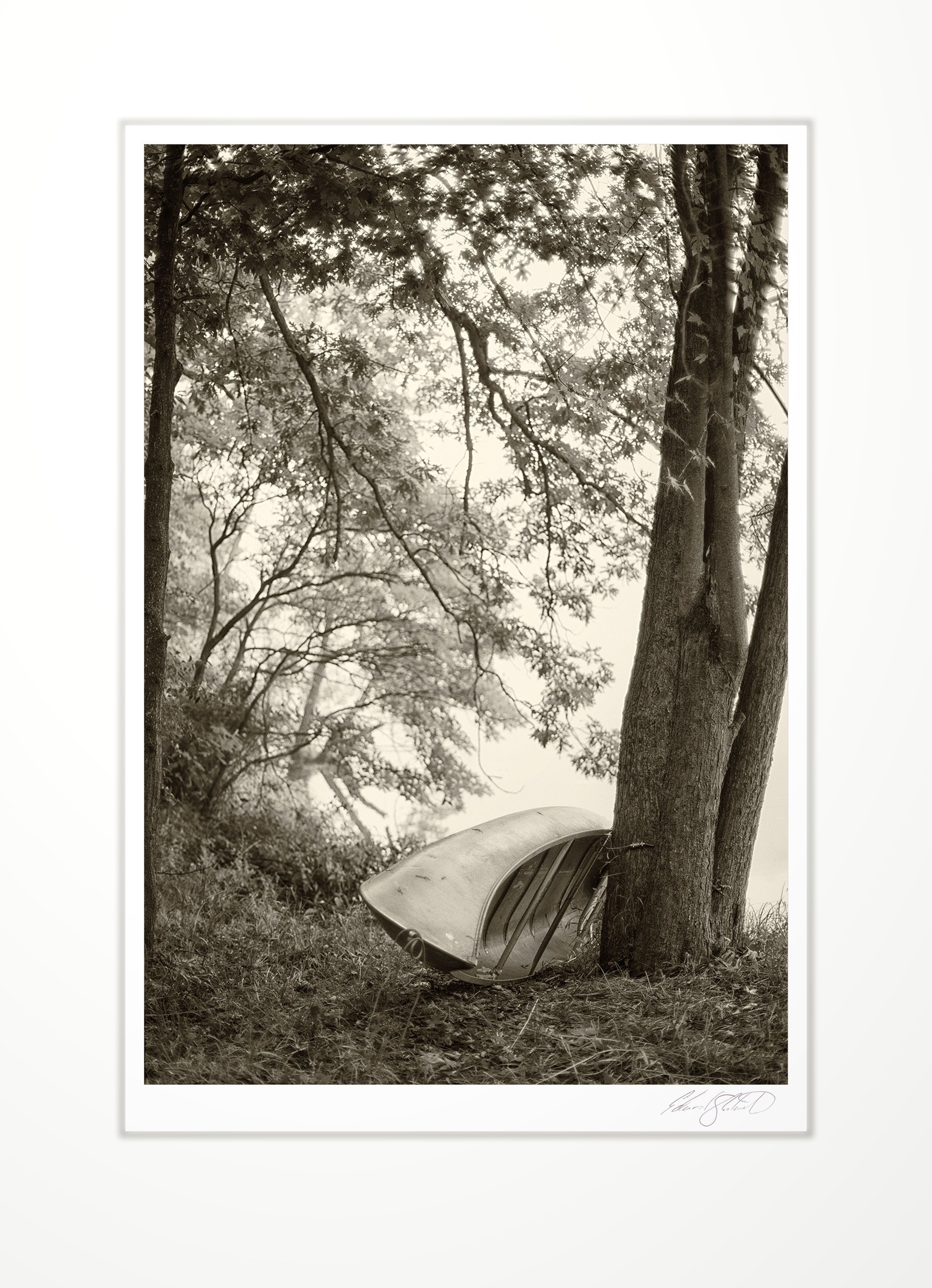 An overturned canoe by a lakeshore