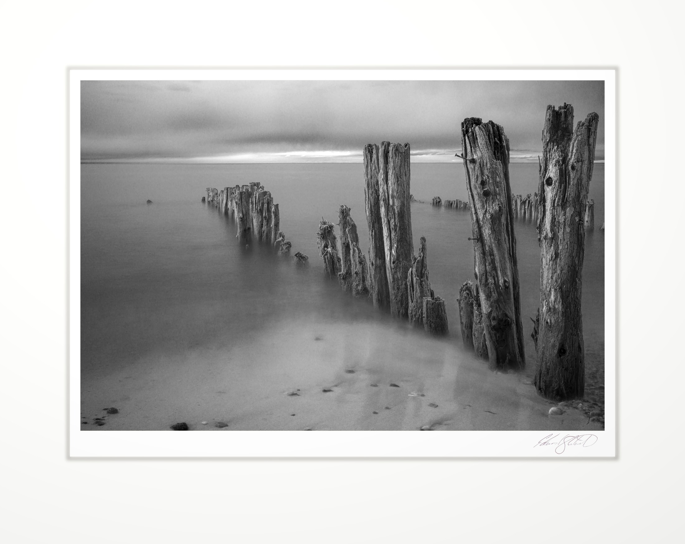 Weathered wooden pylons standing in foggy water