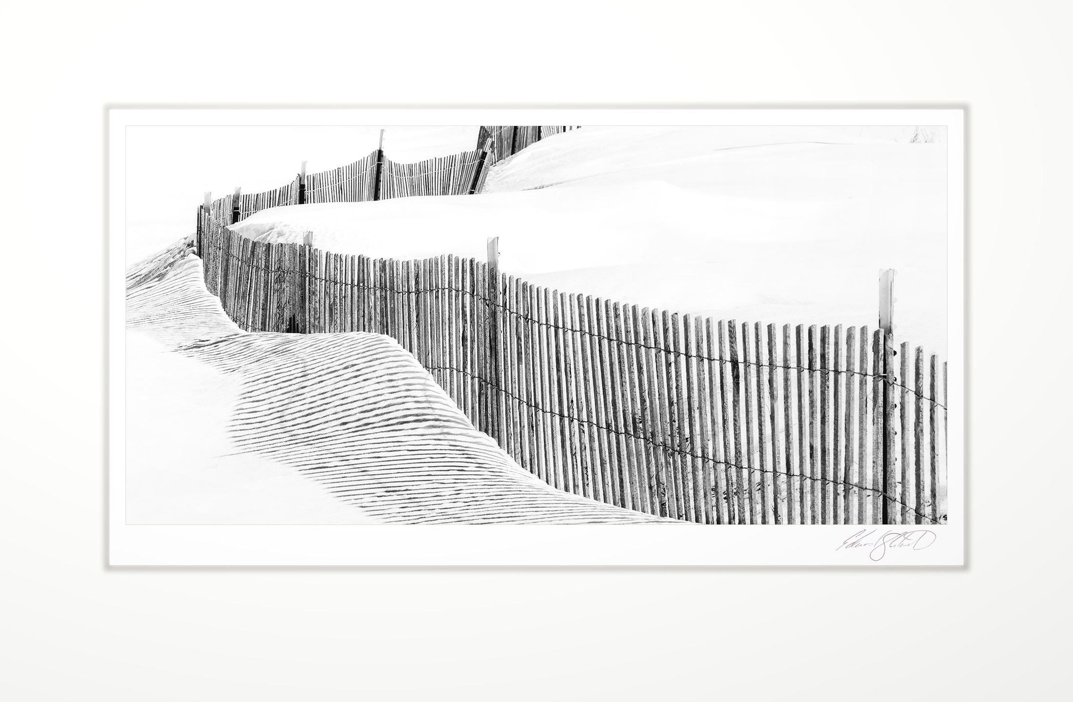 A snow fence winding through dunes
