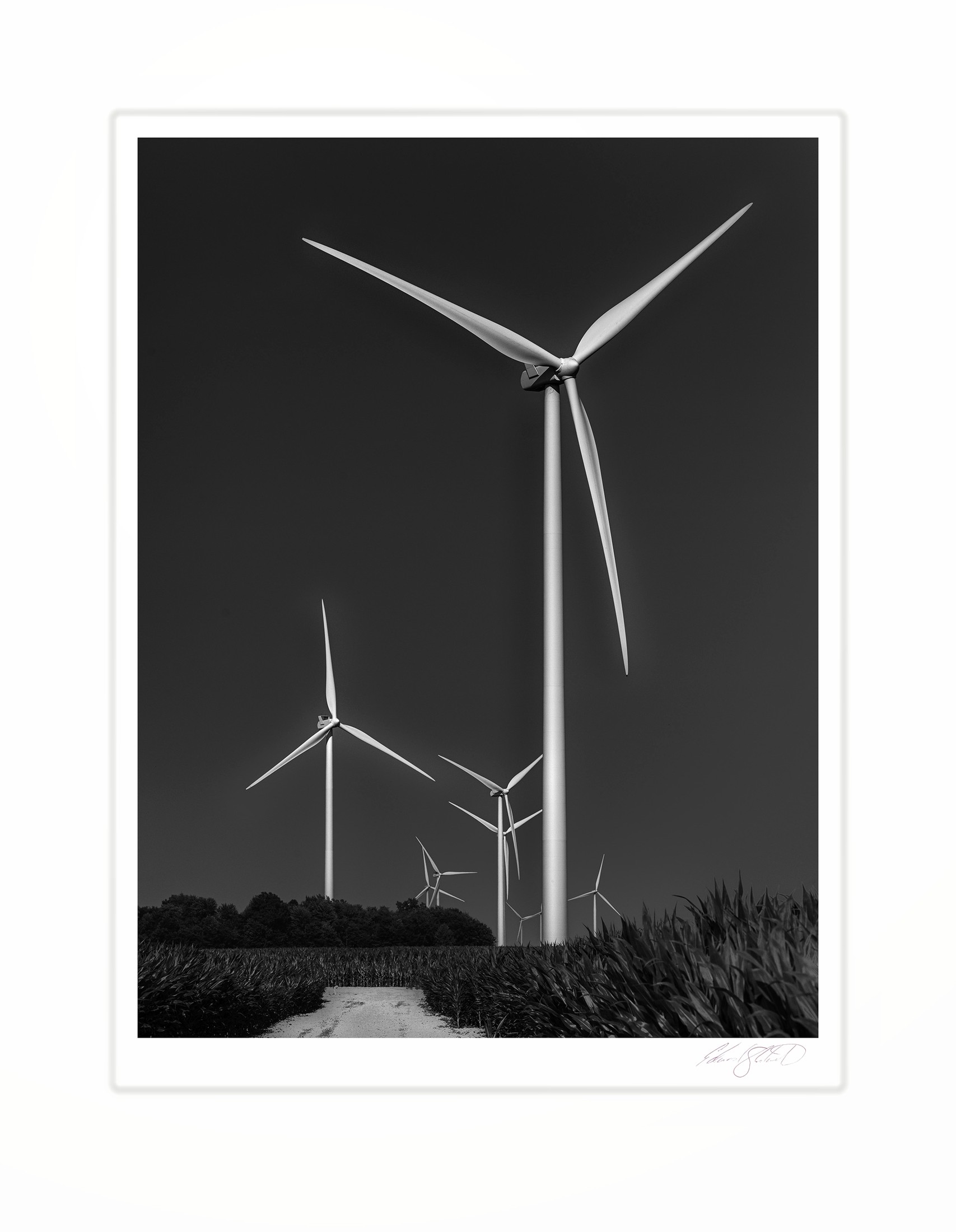 Wind turbines rising against a dark sky over a cornfield.