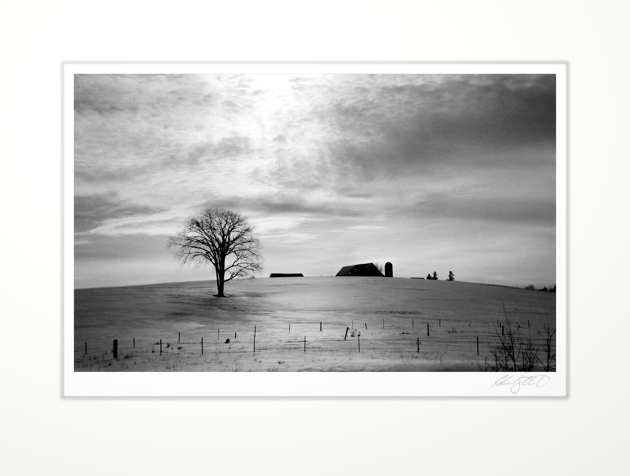 A winter tree and distant farm silhouette