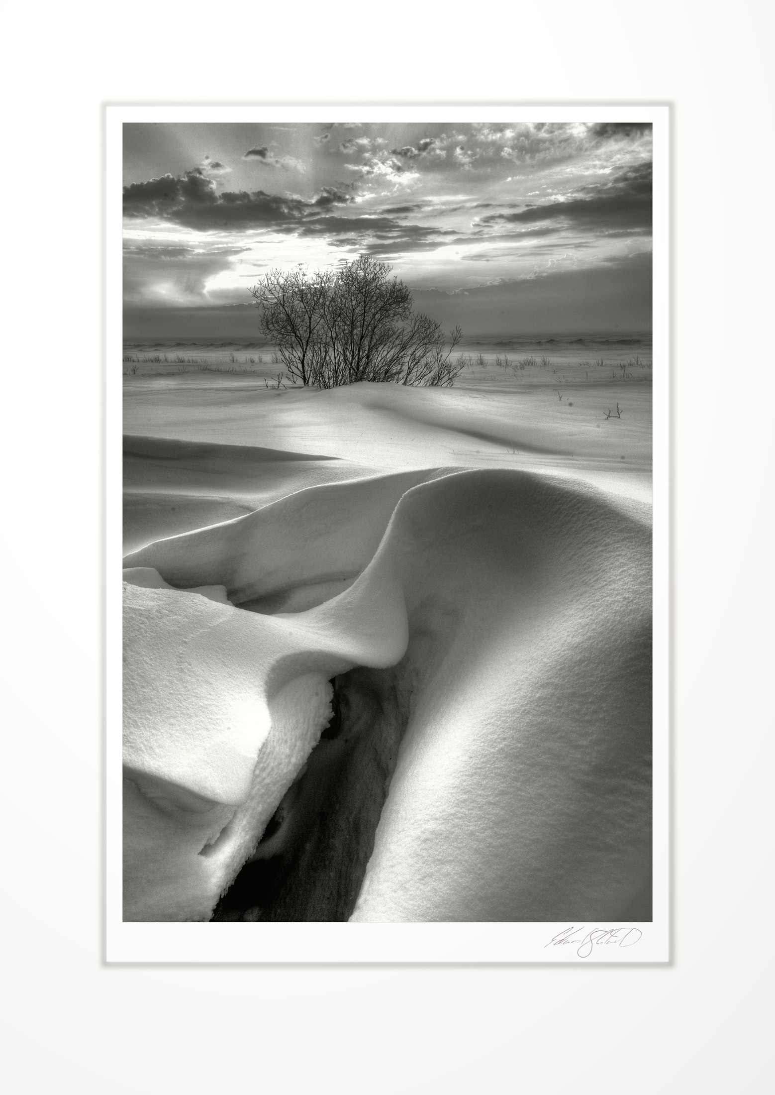 Snow dunes catching the light at winter sunrise